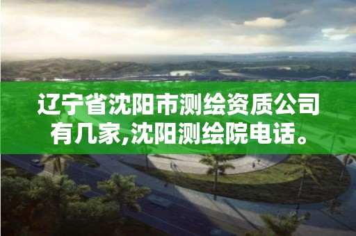 遼寧省沈陽市測繪資質(zhì)公司有幾家,沈陽測繪院電話。