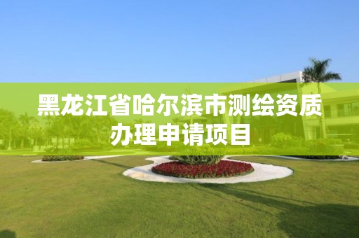 黑龍江省哈爾濱市測繪資質辦理申請項目