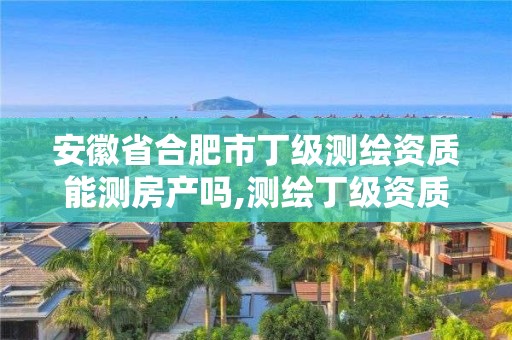 安徽省合肥市丁級測繪資質能測房產嗎,測繪丁級資質申報條件。