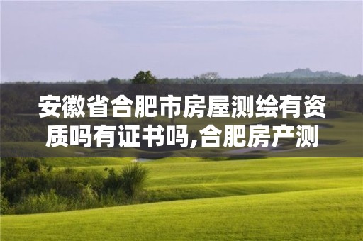 安徽省合肥市房屋測繪有資質(zhì)嗎有證書嗎,合肥房產(chǎn)測繪公司排名。