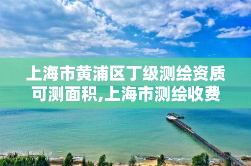 上海市黃浦區丁級測繪資質可測面積,上海市測繪收費標準。