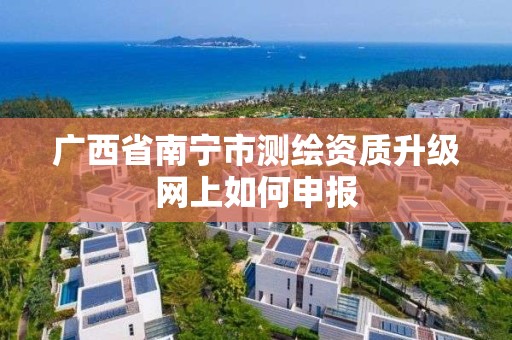 廣西省南寧市測繪資質升級網上如何申報