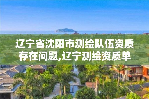 遼寧省沈陽市測繪隊伍資質存在問題,遼寧測繪資質單位。