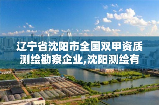 遼寧省沈陽市全國雙甲資質測繪勘察企業,沈陽測繪有限公司。