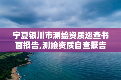 寧夏銀川市測繪資質巡查書面報告,測繪資質自查報告。