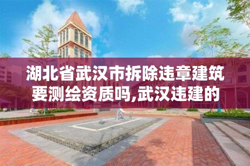 湖北省武漢市拆除違章建筑要測(cè)繪資質(zhì)嗎,武漢違建的認(rèn)定。