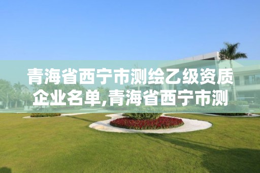 青海省西寧市測繪乙級資質企業名單,青海省西寧市測繪院。