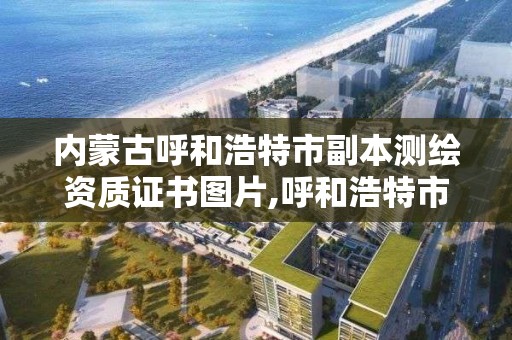 內蒙古呼和浩特市副本測繪資質證書圖片,呼和浩特市測繪儀器店。