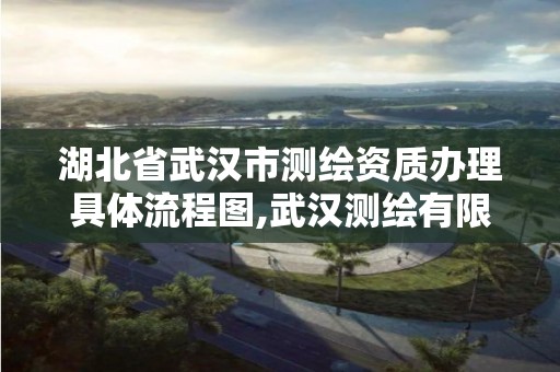 湖北省武漢市測繪資質(zhì)辦理具體流程圖,武漢測繪有限公司。