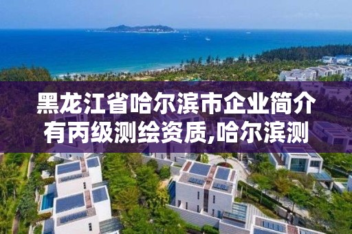 黑龍江省哈爾濱市企業(yè)簡(jiǎn)介有丙級(jí)測(cè)繪資質(zhì),哈爾濱測(cè)繪學(xué)校。