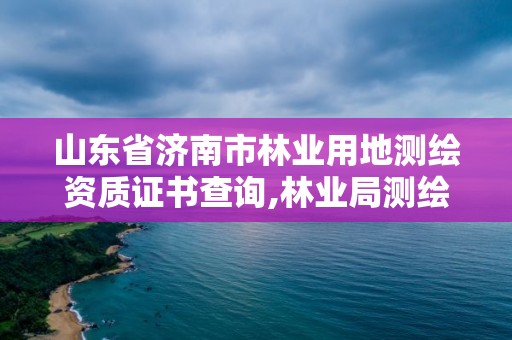 山東省濟南市林業(yè)用地測繪資質(zhì)證書查詢,林業(yè)局測繪是做什么的。