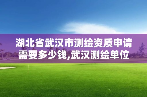 湖北省武漢市測繪資質(zhì)申請需要多少錢,武漢測繪單位。