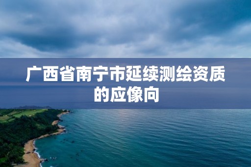 廣西省南寧市延續(xù)測繪資質(zhì)的應(yīng)像向