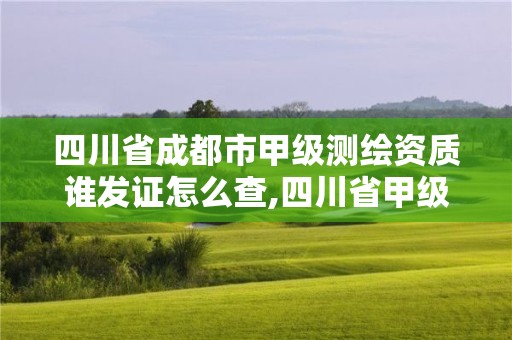 四川省成都市甲級測繪資質誰發證怎么查,四川省甲級測繪單位。