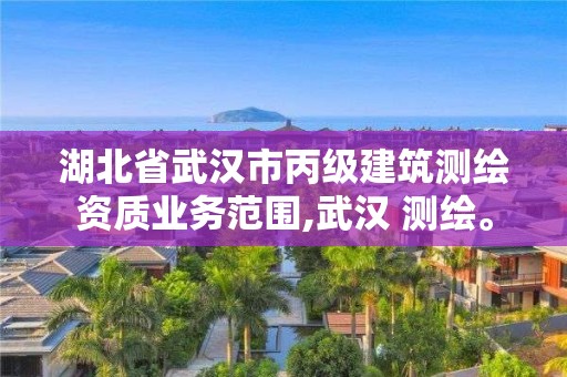 湖北省武漢市丙級建筑測繪資質業務范圍,武漢 測繪。