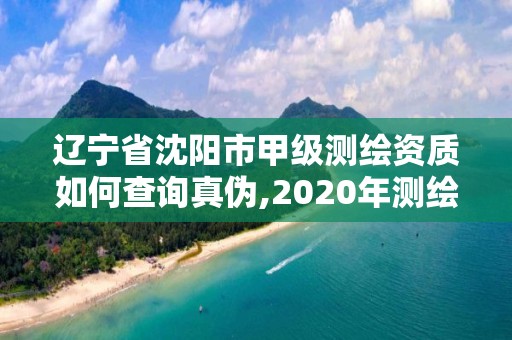 遼寧省沈陽市甲級測繪資質如何查詢真偽,2020年測繪甲級資質條件。