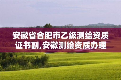 安徽省合肥市乙級測繪資質證書副,安徽測繪資質辦理。