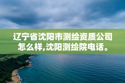 遼寧省沈陽市測繪資質(zhì)公司怎么樣,沈陽測繪院電話。