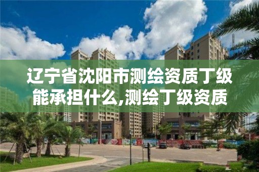 遼寧省沈陽市測繪資質丁級能承擔什么,測繪丁級資質業務范圍。