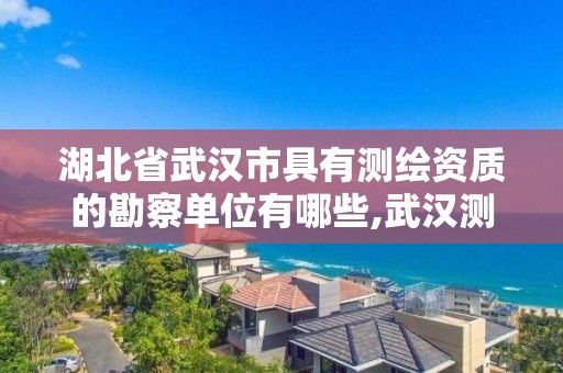 湖北省武漢市具有測繪資質的勘察單位有哪些,武漢測繪有限公司。