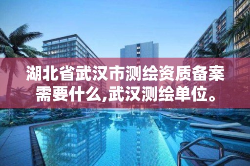 湖北省武漢市測繪資質備案需要什么,武漢測繪單位。