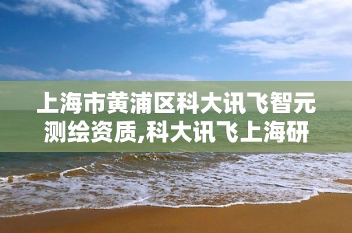 上海市黃浦區科大訊飛智元測繪資質,科大訊飛上海研發中心。