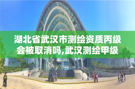 湖北省武漢市測繪資質丙級會被取消嗎,武漢測繪甲級資質公司。