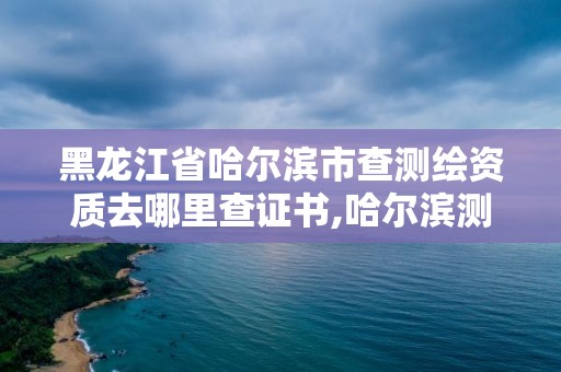 黑龍江省哈爾濱市查測繪資質(zhì)去哪里查證書,哈爾濱測繪局工資怎么樣。