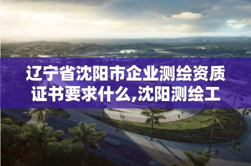 遼寧省沈陽市企業測繪資質證書要求什么,沈陽測繪工資。