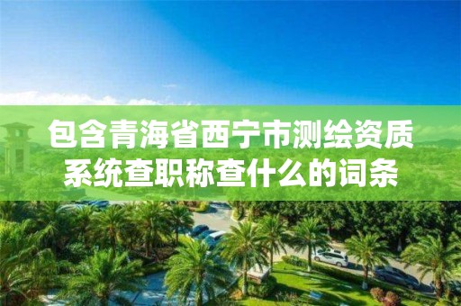 包含青海省西寧市測繪資質系統查職稱查什么的詞條