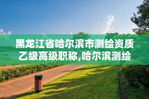 黑龍江省哈爾濱市測繪資質乙級高級職稱,哈爾濱測繪勘察研究院怎么樣。