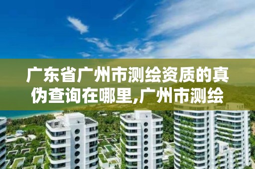 廣東省廣州市測(cè)繪資質(zhì)的真?zhèn)尾樵?xún)?cè)谀睦?廣州市測(cè)繪產(chǎn)品質(zhì)量檢驗(yàn)中心。