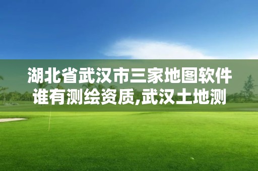 湖北省武漢市三家地圖軟件誰有測繪資質(zhì),武漢土地測繪公司。