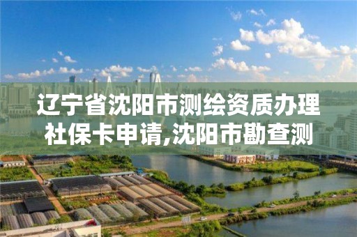 遼寧省沈陽市測繪資質辦理社保卡申請,沈陽市勘查測繪。