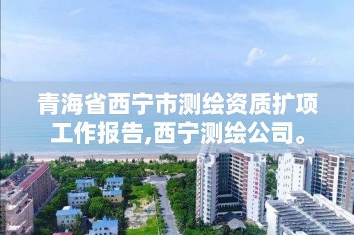 青海省西寧市測繪資質擴項工作報告,西寧測繪公司。