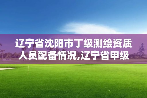 遼寧省沈陽市丁級測繪資質(zhì)人員配備情況,遼寧省甲級測繪單位。