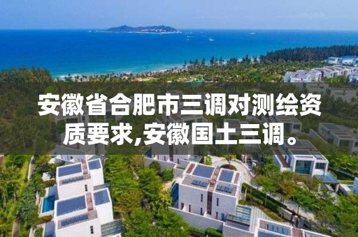 安徽省合肥市三調對測繪資質要求,安徽國土三調。