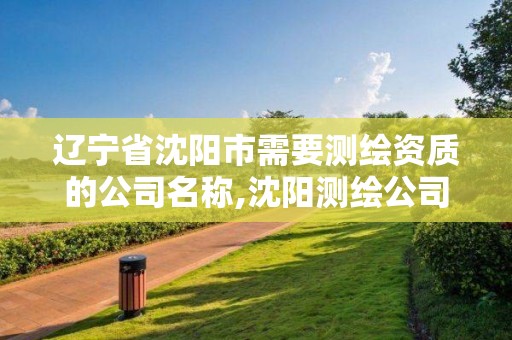 遼寧省沈陽市需要測繪資質的公司名稱,沈陽測繪公司哪家強哪家好。