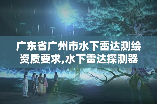 廣東省廣州市水下雷達測繪資質要求,水下雷達探測器。