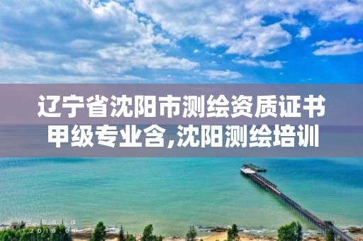 遼寧省沈陽市測繪資質證書甲級專業含,沈陽測繪培訓。