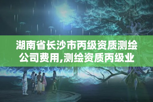 湖南省長沙市丙級資質測繪公司費用,測繪資質丙級業務范圍。