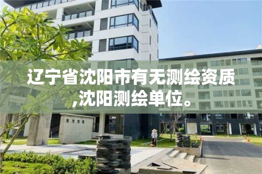 遼寧省沈陽市有無測繪資質,沈陽測繪單位。