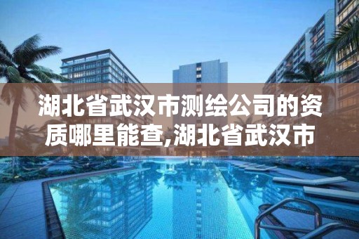 湖北省武漢市測(cè)繪公司的資質(zhì)哪里能查,湖北省武漢市測(cè)繪公司的資質(zhì)哪里能查到。