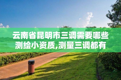 云南省昆明市三調需要哪些測繪小資質,測量三調都有哪些工作。