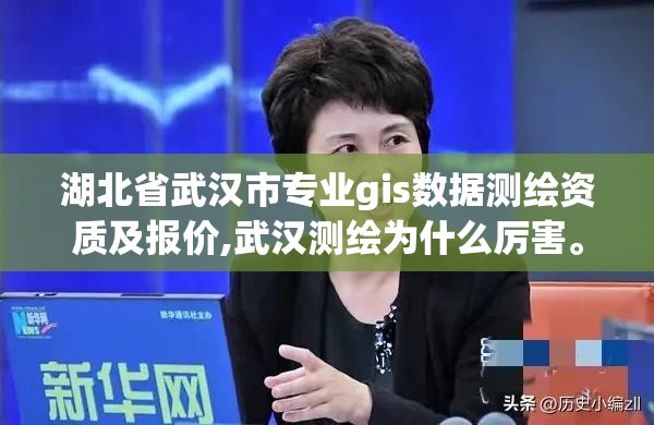 湖北省武漢市專業gis數據測繪資質及報價,武漢測繪為什么厲害。