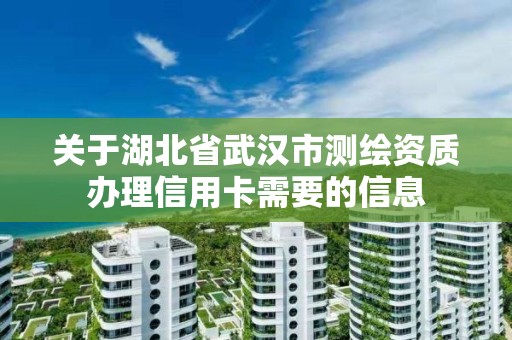 關于湖北省武漢市測繪資質辦理信用卡需要的信息