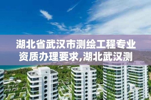 湖北省武漢市測繪工程專業資質辦理要求,湖北武漢測繪公司排行榜。