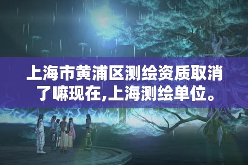 上海市黃浦區測繪資質取消了嘛現在,上海測繪單位。