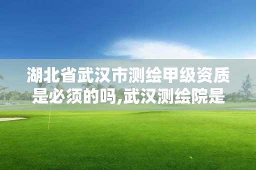 湖北省武漢市測繪甲級資質是必須的嗎,武漢測繪院是什么級別。