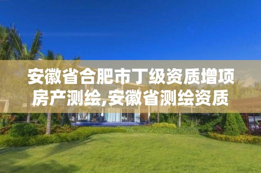 安徽省合肥市丁級(jí)資質(zhì)增項(xiàng)房產(chǎn)測(cè)繪,安徽省測(cè)繪資質(zhì)申請(qǐng)。